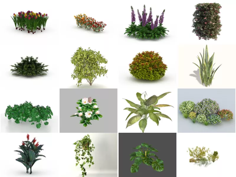 Top 30 Garden Plant 3D Models Most Viewed 2022