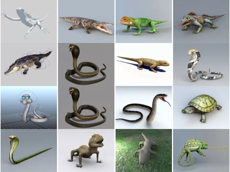 Top 31 Reptiles 3D Models for Rendering Most Viewed 2022