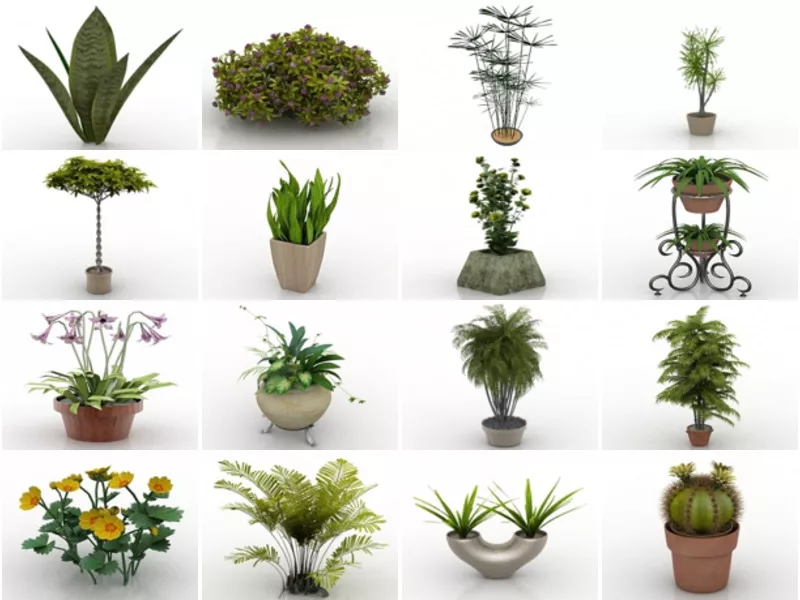 Top 33 House Plant 3D Models for Design Most Viewed 2022