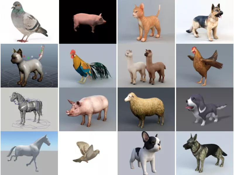 Top 34 Domestic 3D Models Resources Most Viewed 2022
