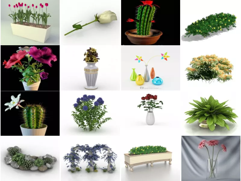 Top 35 Flower 3D Models for Rendering Most Viewed 2022