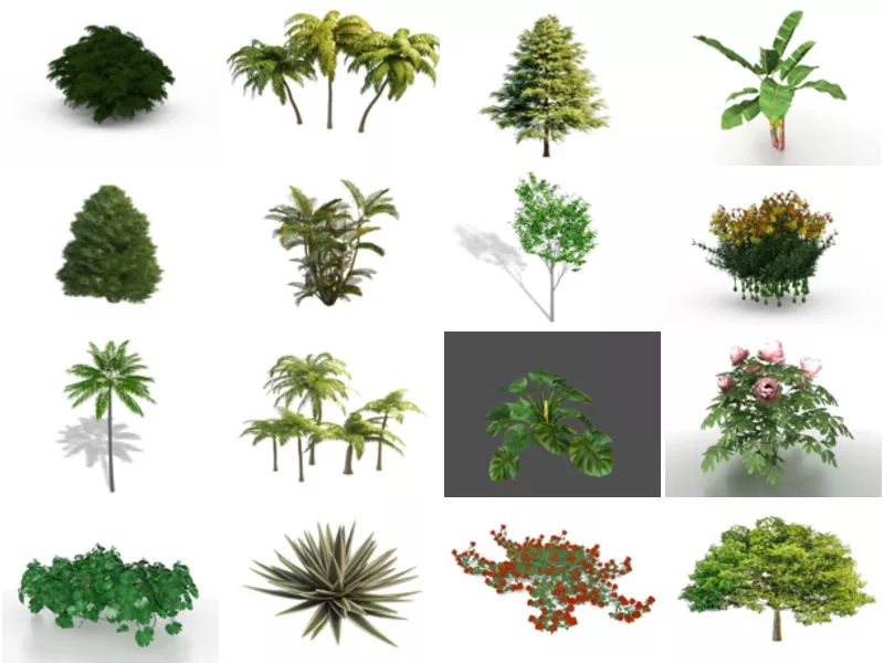 Top 35 Garden Plant 3D Models Most Popular 2022