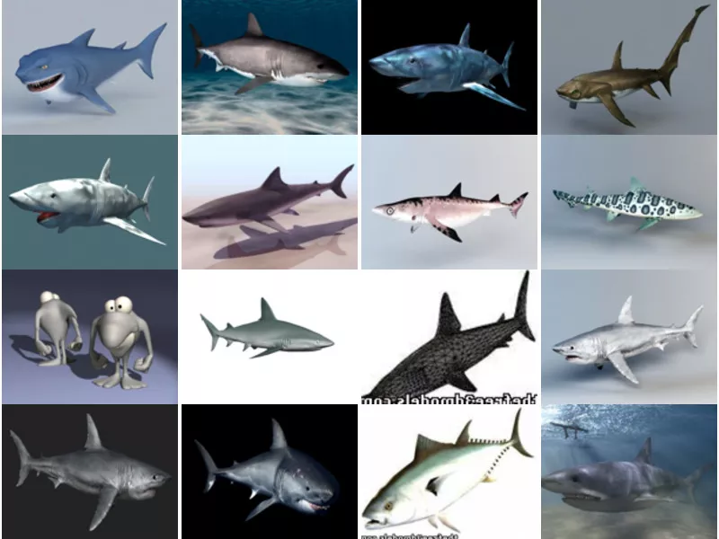 Top 35 Shark 3D Models for Rendering Most Viewed 2022