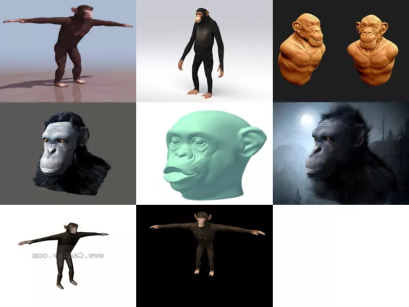 Top 8 Chimpanzee 3D Models Stuff Most Recent 2022
