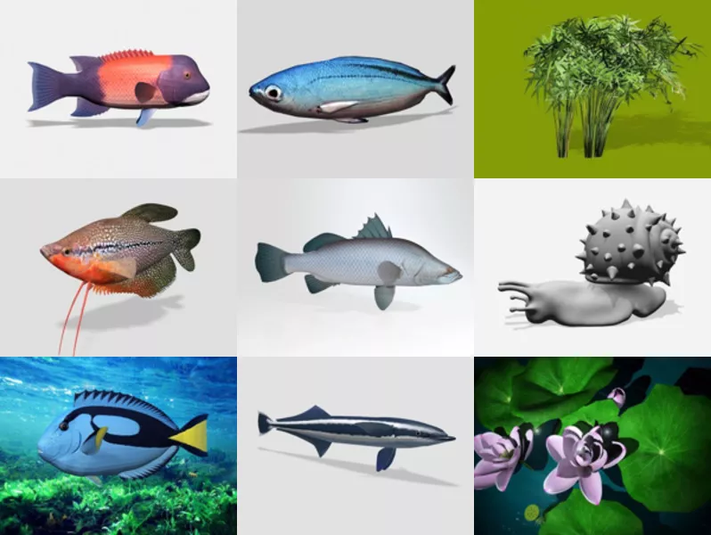 Top 10 Free 3D Aquatic Models for Design Most Recent 2022