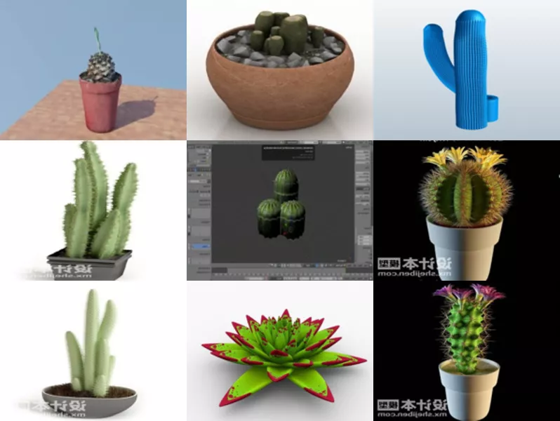 Top 10 Cactus 3D Models Most Recent 2022