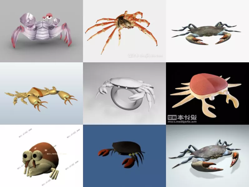 Top 10 Crab 3D Models for Design Newest 2022