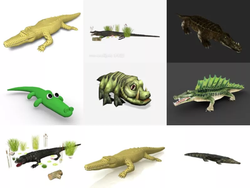 Top 10 Crocodile 3D Models Resources Latest 2022