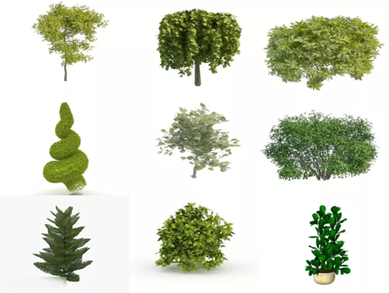 Top 10 Evergreen 3D Models Most Recent 2022