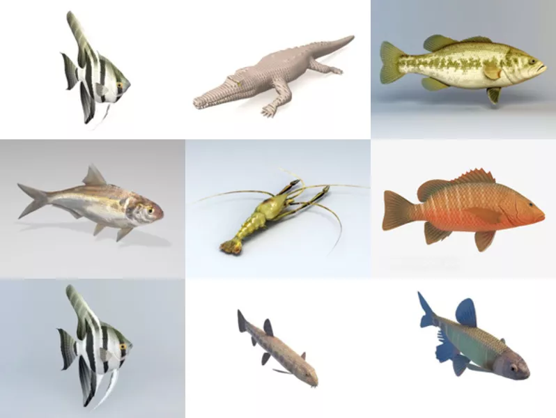 Top 10 Freshwater 3D Models Most Recent 2022