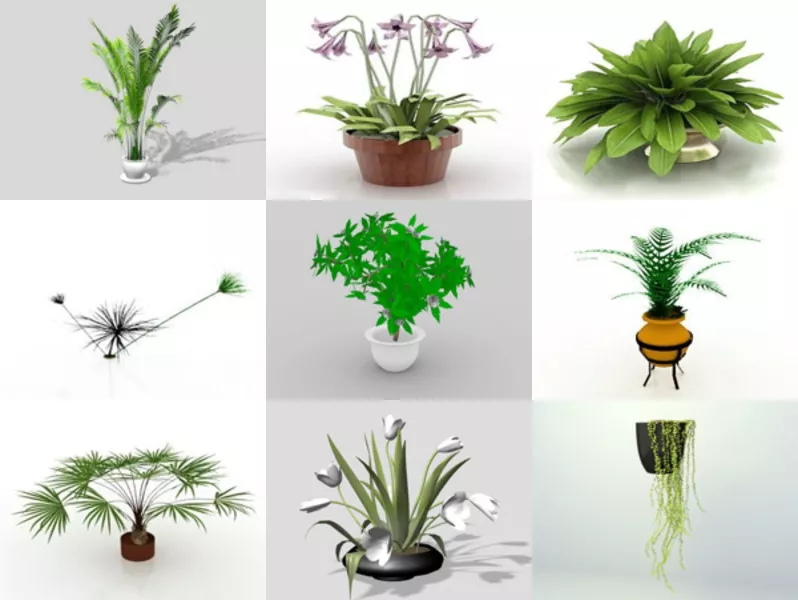 Top 10 Free 3D Indoor Plants Models Resources Latest 2022