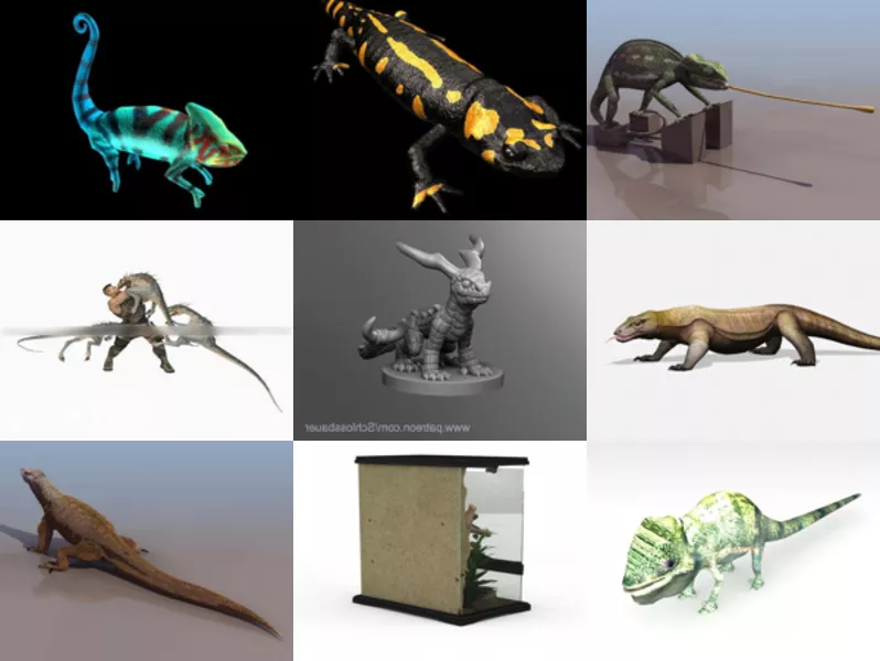 Top 10 Lizard 3D Models for Rendering Latest 2022