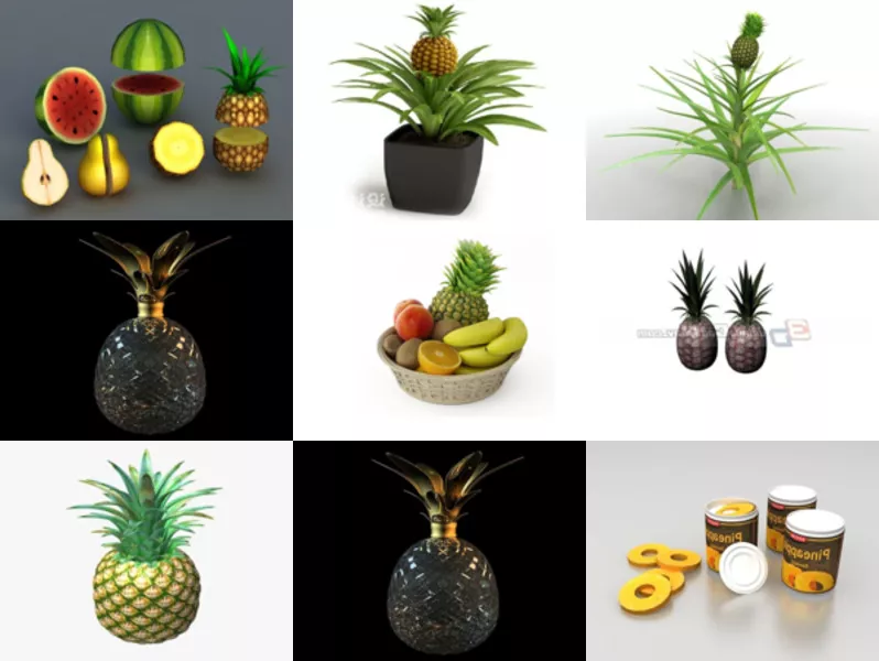 Top 10 Pineapple 3D Models for Design Newest 2022