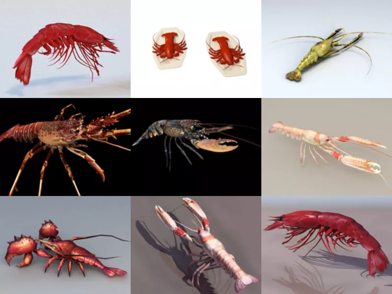 Top 10 Prawn 3D Models for Free Most Recent 2022