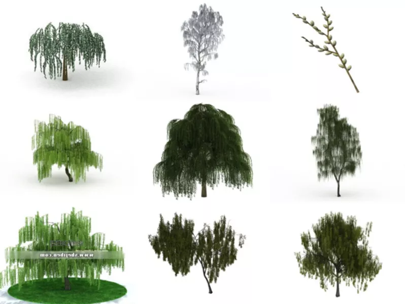 Top 10 Willow 3D Models Resources Latest 2022