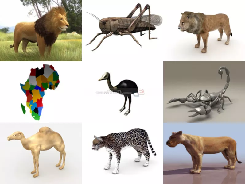 Top 11 Africa 3D Models Resources Latest 2022