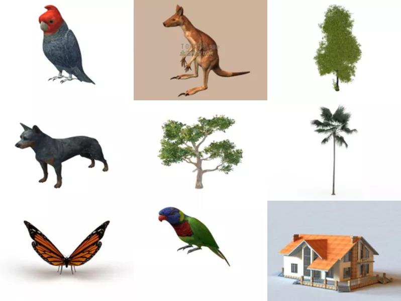 Top 11 Australian 3D Models Latest 2022