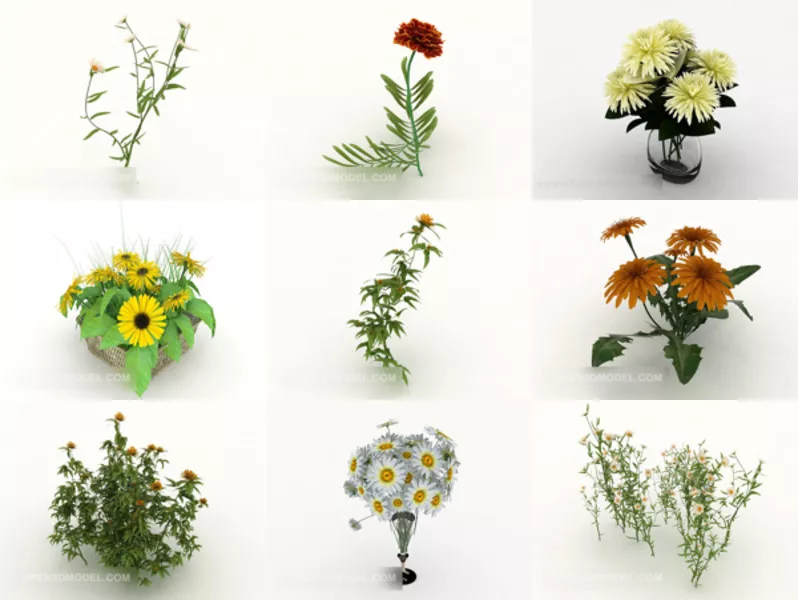 Top 11 Chrysanthemum 3D Models for Free Newest 2022