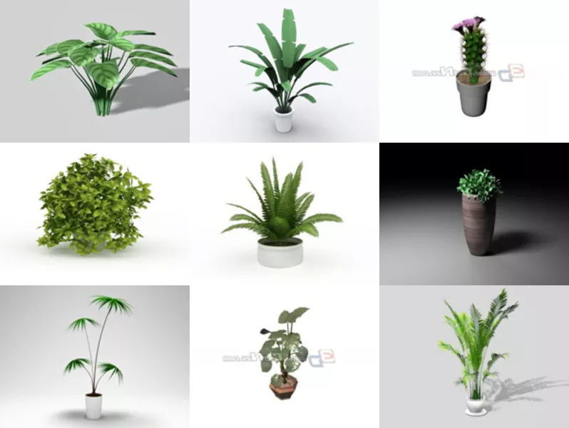 Top 11 Free 3D Houseplants Models Resources Newest 2022