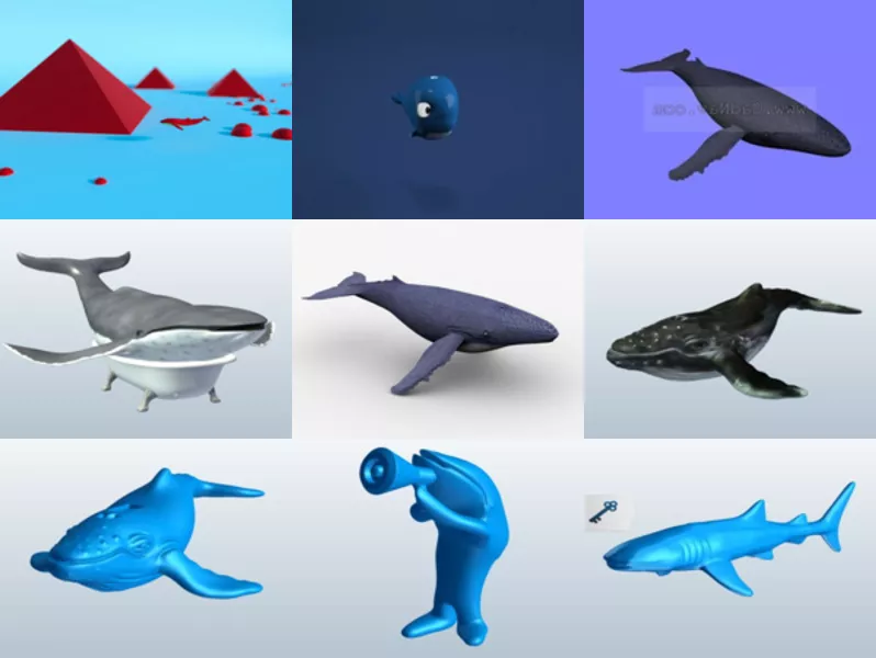 Top 11 Whale 3D Models for Rendering Latest 2022