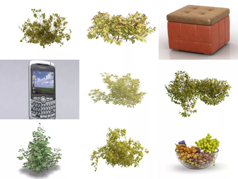 Top 12 Berry 3D Models Latest 2022