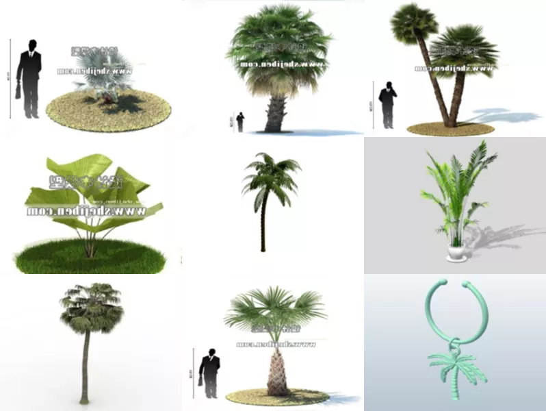 Top 12 Free 3D Palm Models Most Recent 2022