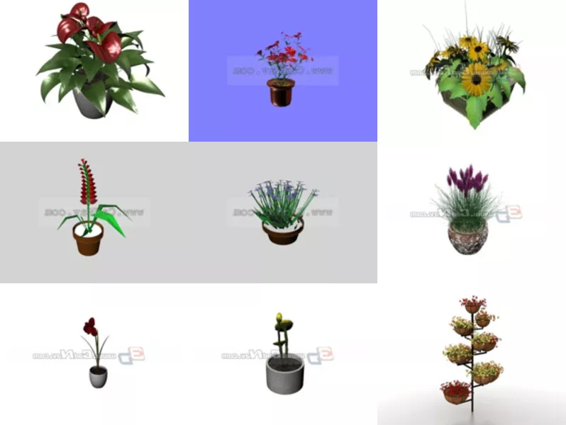 Top 12 Potted Flowers 3D Models for Rendering Newest 2022
