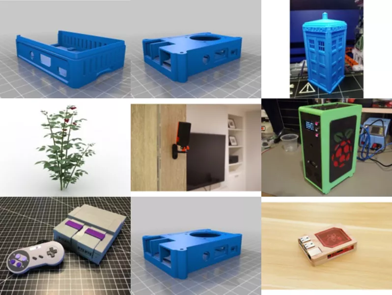 Top 12 Raspberry 3D Models Stuff Latest 2022
