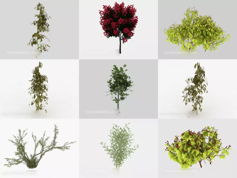 Top 12 Sapling 3D Models for Rendering Latest 2022