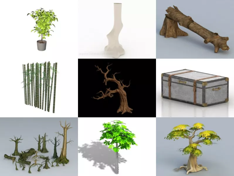 Top 12 Trunk 3D Models for Free Most Recent 2022