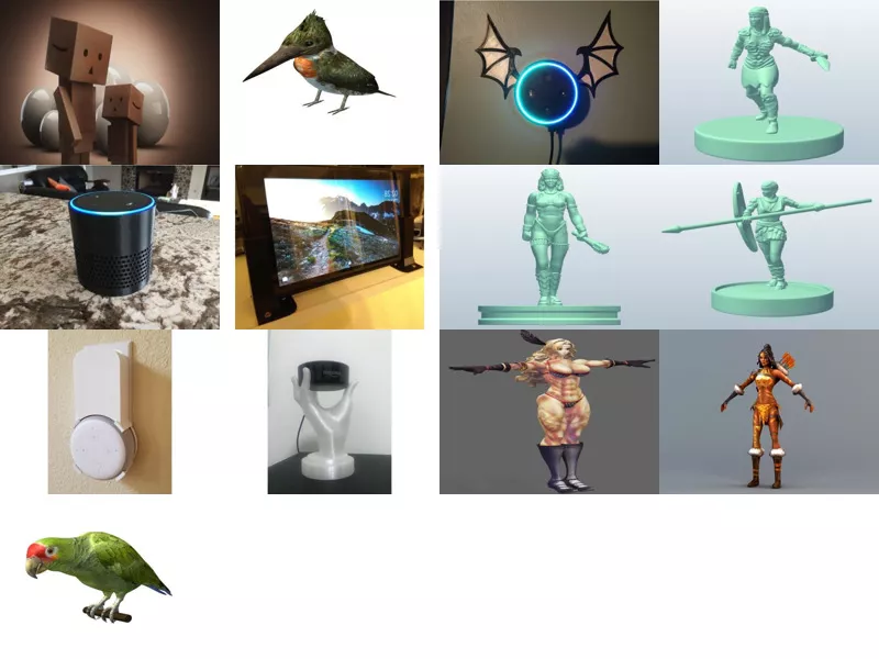 Top 13 Amazon 3D Models for Design Latest 2022