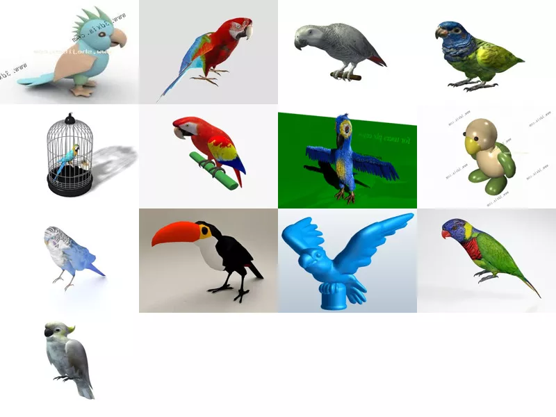 Top 13 Parrot 3D Models Resources Newest 2022