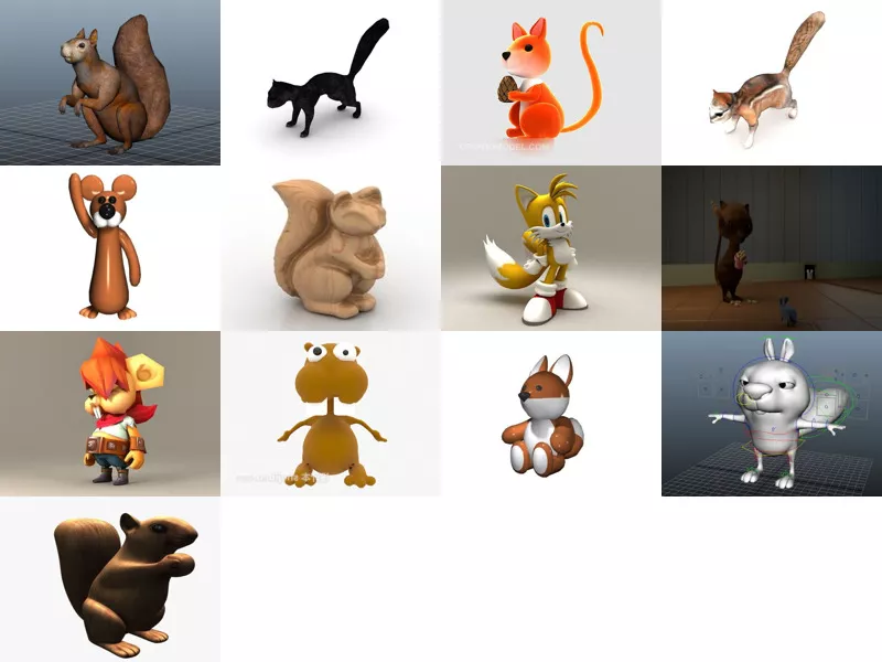 Top 13 Squirrel 3D Models Latest 2022