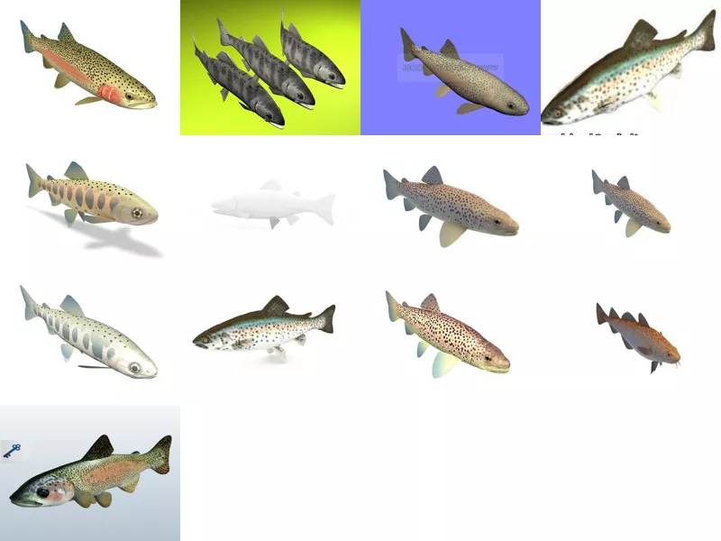 Top 13 Trout 3D Models for Free Newest 2022