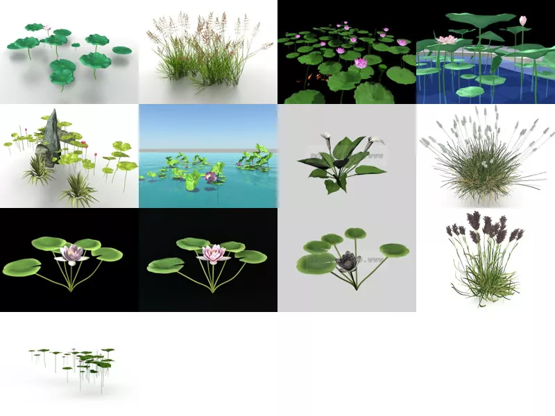 Top 13 Water Plants 3D Models Resources Newest 2022