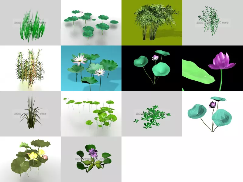 Top 14 Aquatic Plants 3D Models for Free Newest 2022