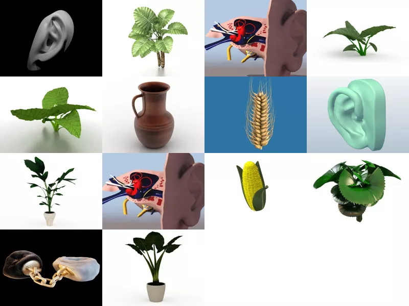 Top 14 Ear 3D Models Most Recent 2022