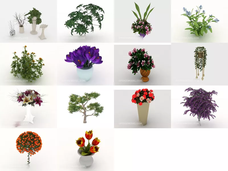 Top 14 Eucalyptus 3D Models for Design Newest 2022