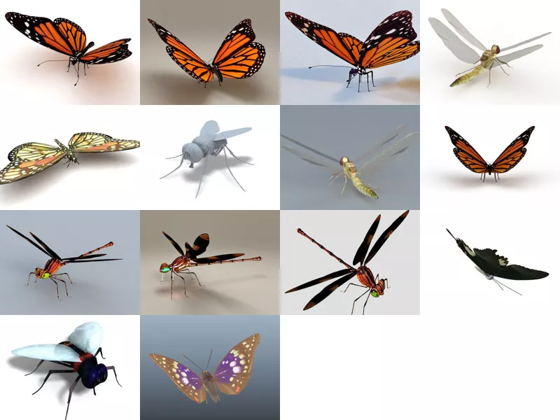 Top 14 Flies 3D Models for Rendering Newest 2022