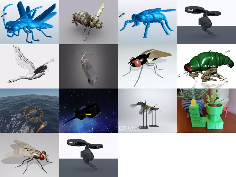 Top 14 Fly 3D Models for Free Most Recent 2022