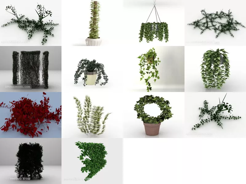 Top 14 Ivy 3D Models Newest 2022