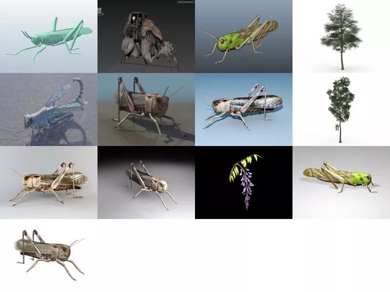 Top 14 Locust 3D Models Newest 2022