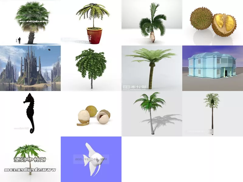 Top 14 Tropical 3D Models for Design Most Recent 2022