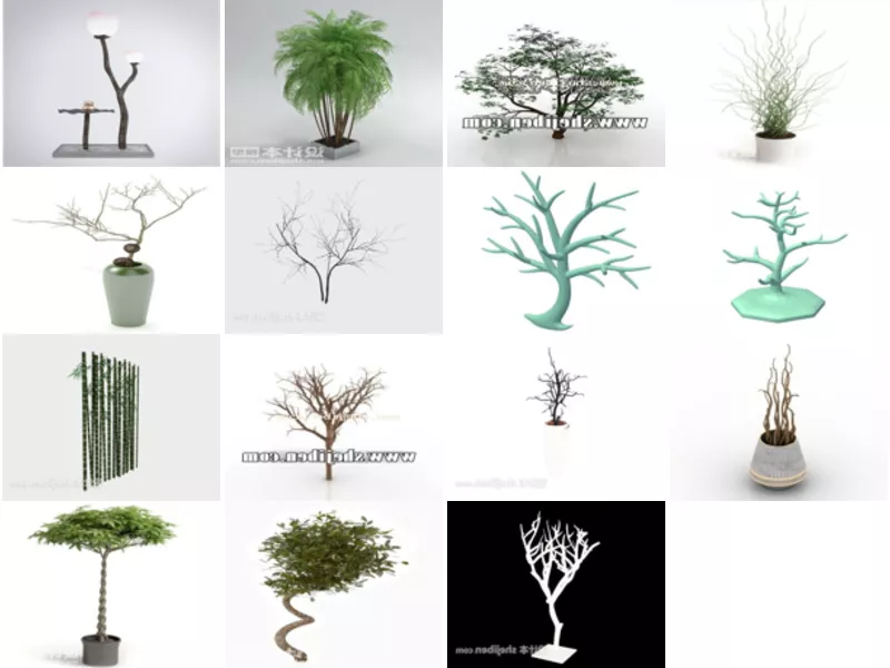 Top 15 Branches 3D Models Resources Newest 2022