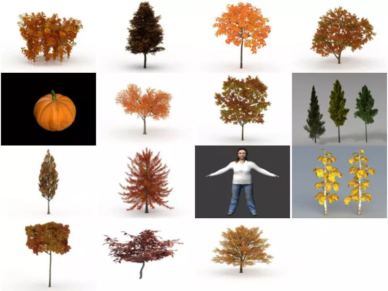 Top 15 Fall 3D Models Most Recent 2022