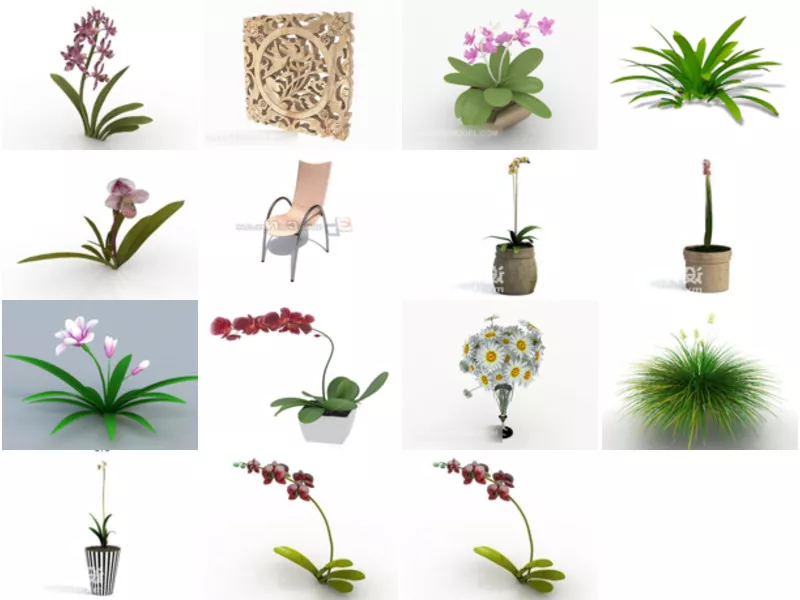 Top 15 Orchid 3D Models Newest 2022