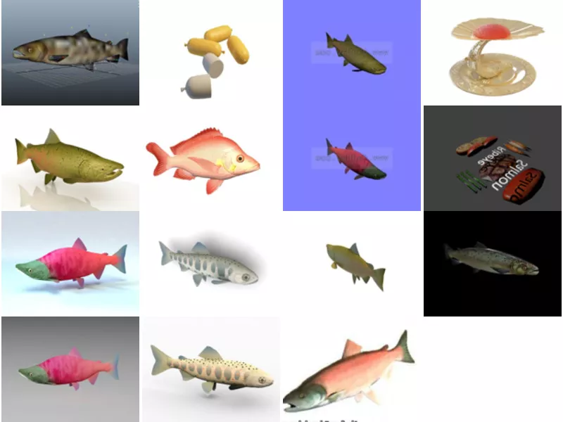 Top 15 Salmon 3D Models for Free Newest 2022