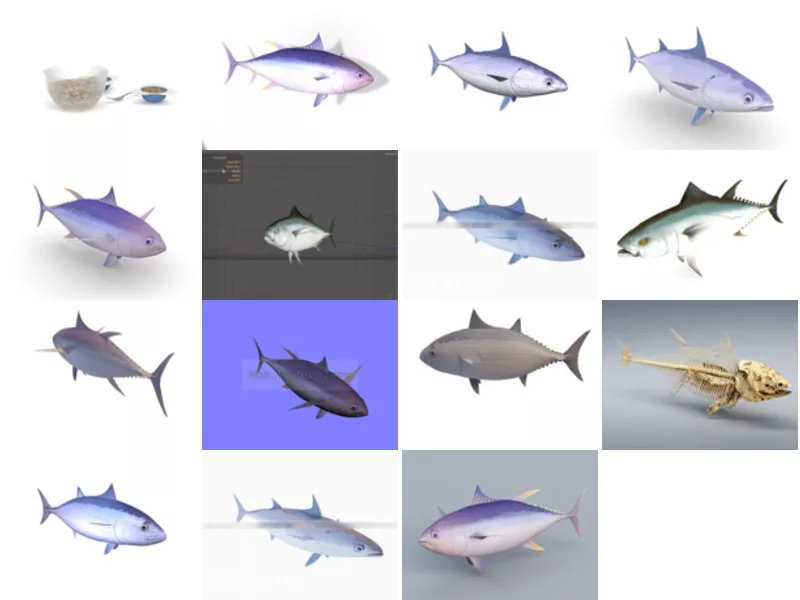 Top 15 Tuna 3D Models Newest 2022