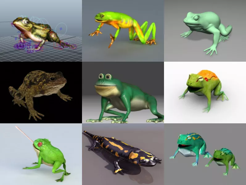Top 9 Amphibian 3D Models Newest 2022