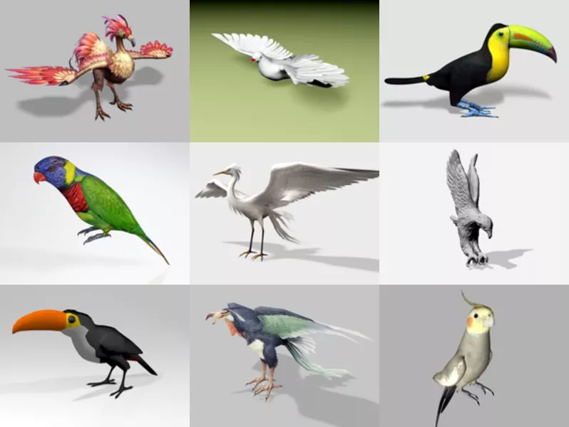 Top 9 Free 3D Birds Models for Free Most Recent 2022